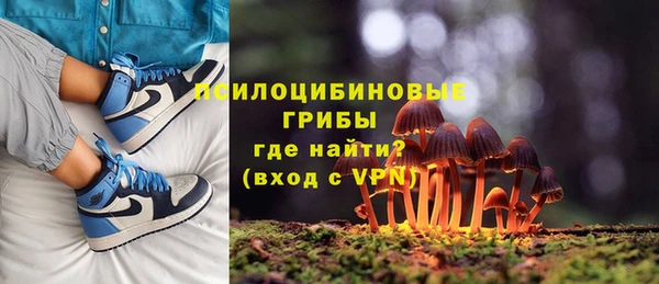 прущие крисы Алексин